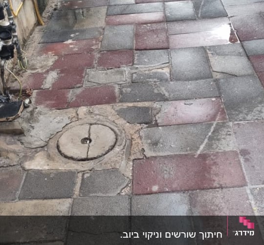 משאית חונה ליד מדרכה רטובה עם מכסה ביוב.